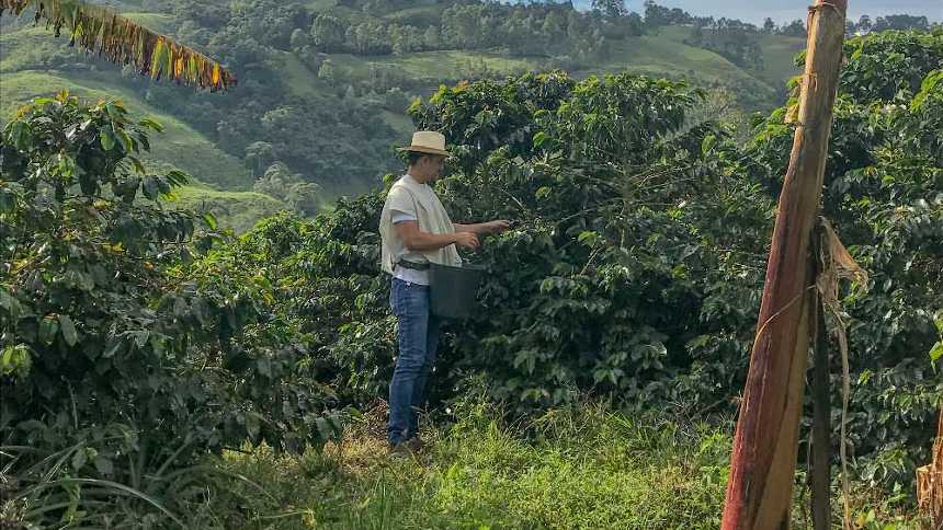 cafe-resistente-ao-calor-e-teste-de-resiliencia-para-as-mudancas-climaticas-–-neofeed