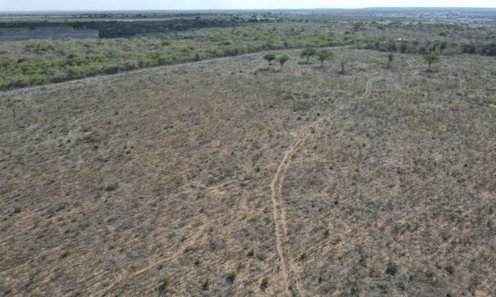 operacao-do-ibama-mira-desmatamento-ilegal-na-caatinga-paraibana-–-jovem-pan