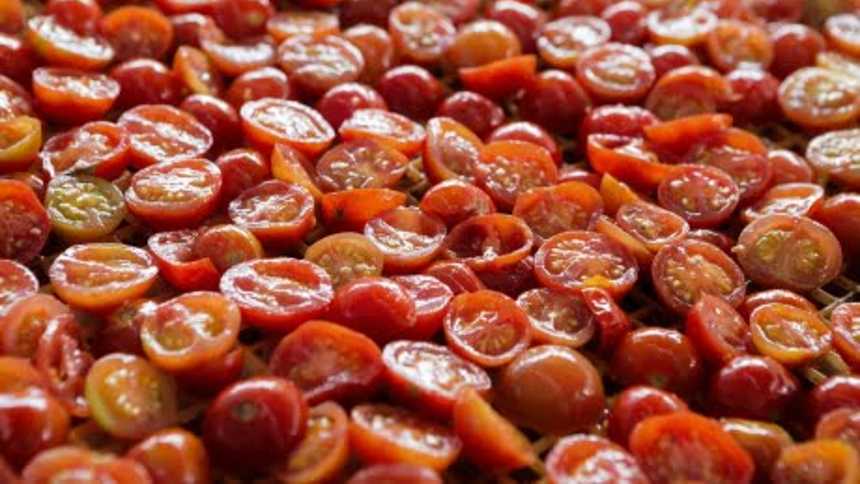 startup-usa-onda-sonoras-para-“salvar”-precioso-liquido-do-tomate-–-neofeed