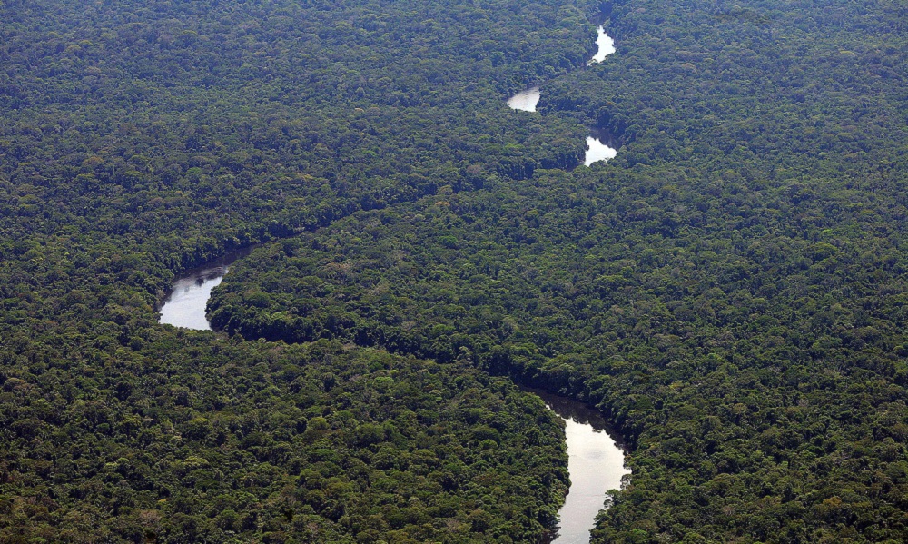 desmatamento-na-amazonia-tem-queda-de-80%-em-novembro,-aponta-levantamento-–-jovem-pan