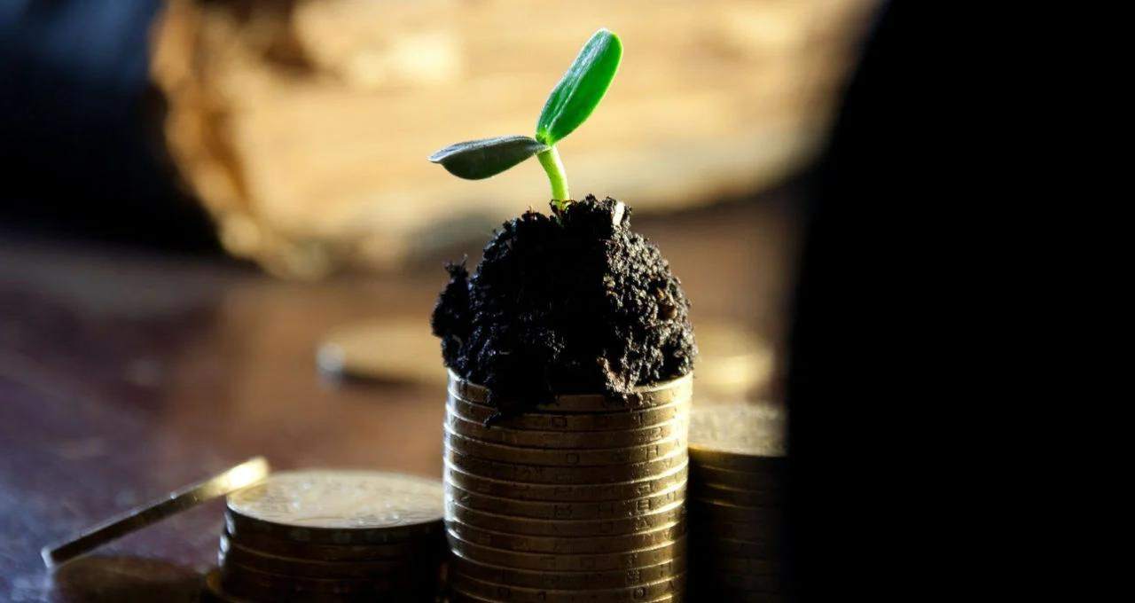 dividendos:-8-acoes-para-encher-o-bolso-em-janeiro,-segundo-guide-–-money-times