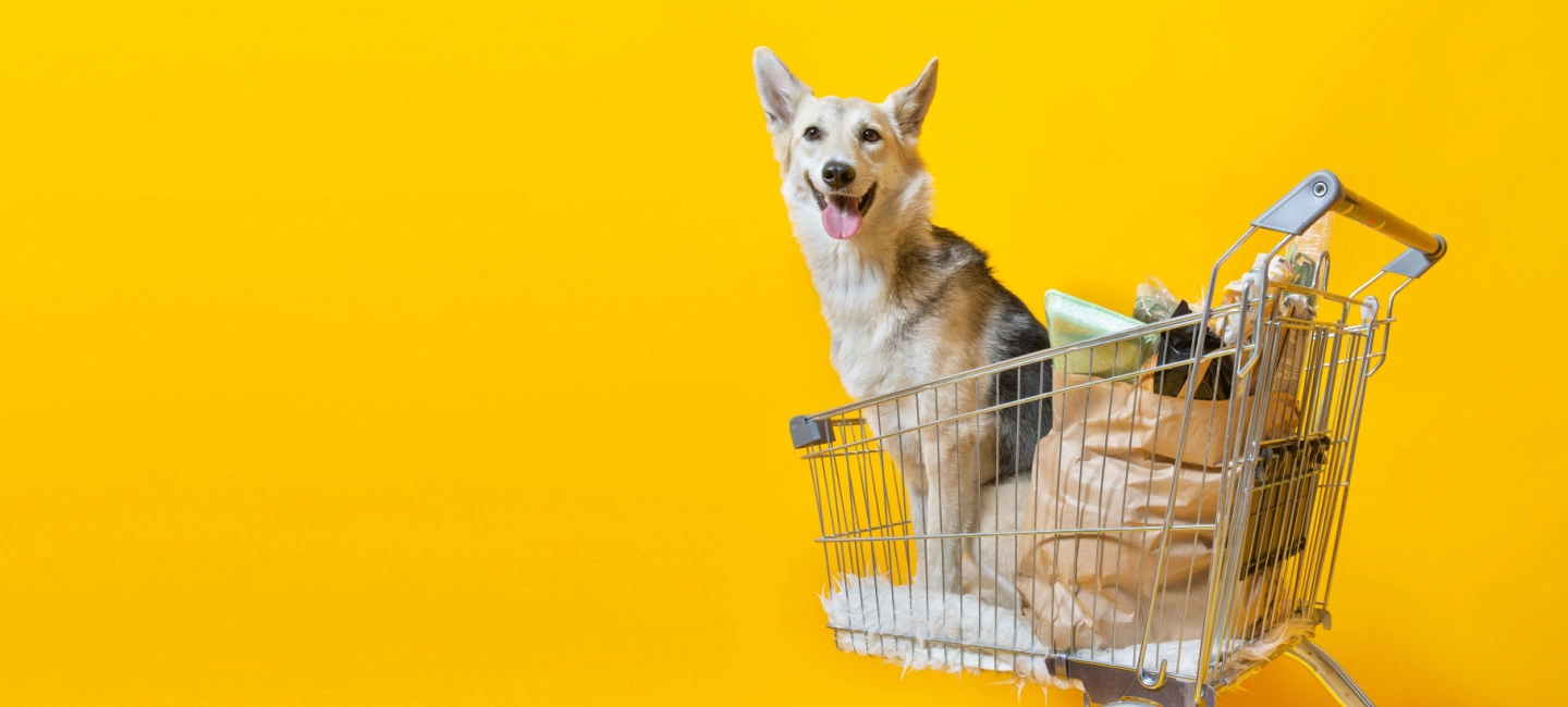 o-faturamento-de-r$-68,9-bilhoes-do-mercado-pet-brasileiro