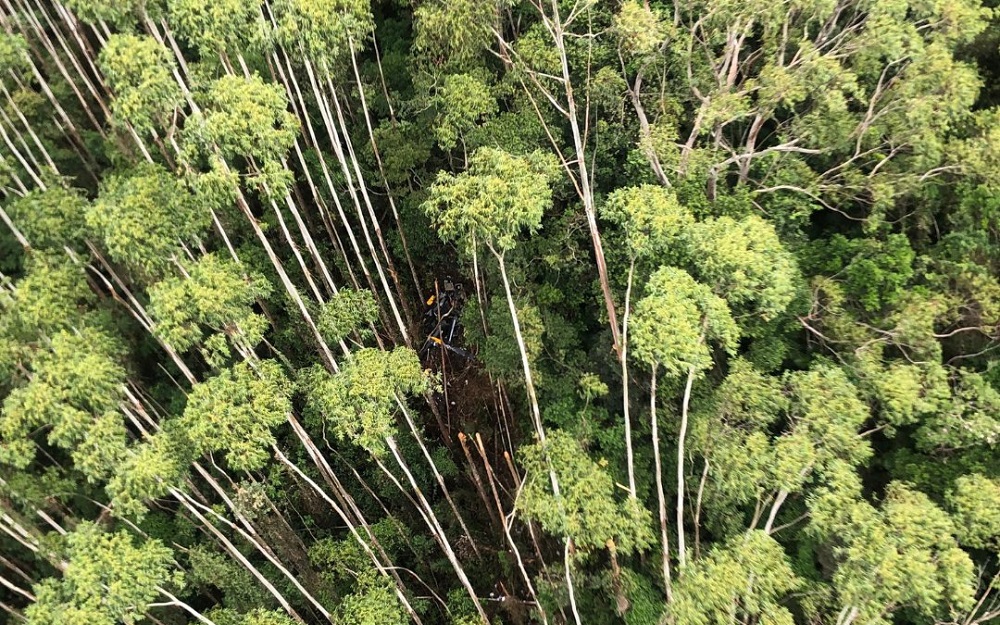 helicoptero-que-caiu-em-sao-paulo-colidiu-com-vegetacao-em-area-de-mata-–-jovem-pan