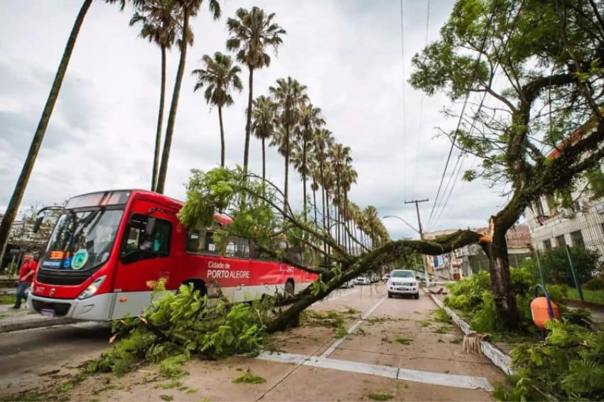 camara-de-porto-alegre-votara-abertura-de-cpi-contra-distribuidora