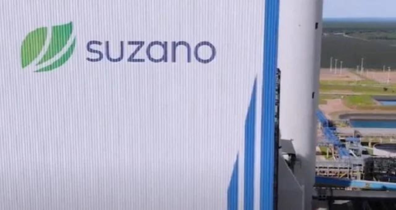 suzano-(suzb3)-vai-recomprar-ate-6%-das-acoes-em-circulacao-–-money-times