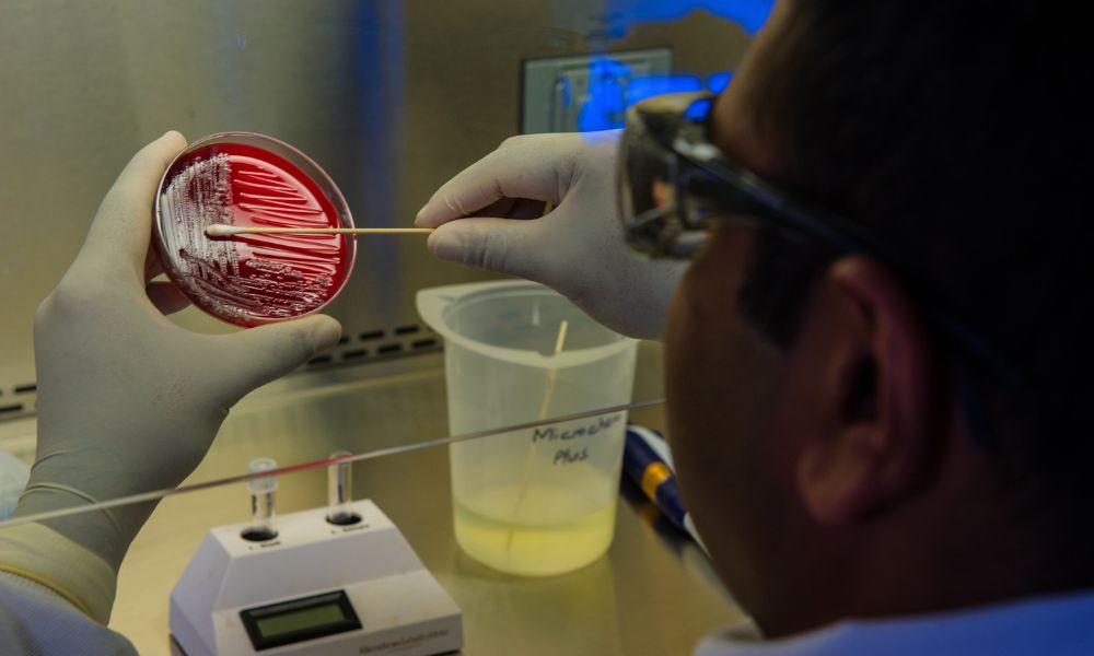 sao-paulo-registra-casos-de-bacteria-que-causou-surto-de-pneumonia-na-china-–-jovem-pan