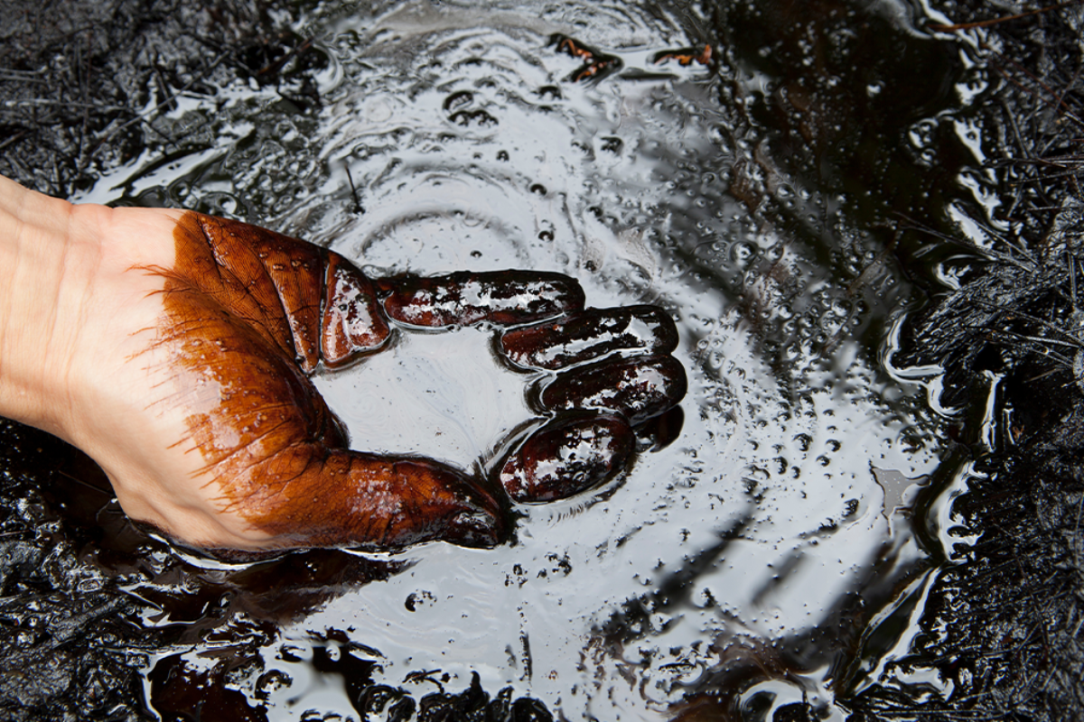 refens-de-commodities,-petrobras-e-vale-iniciam-2024-mirando-transicao-verde-|-investnews