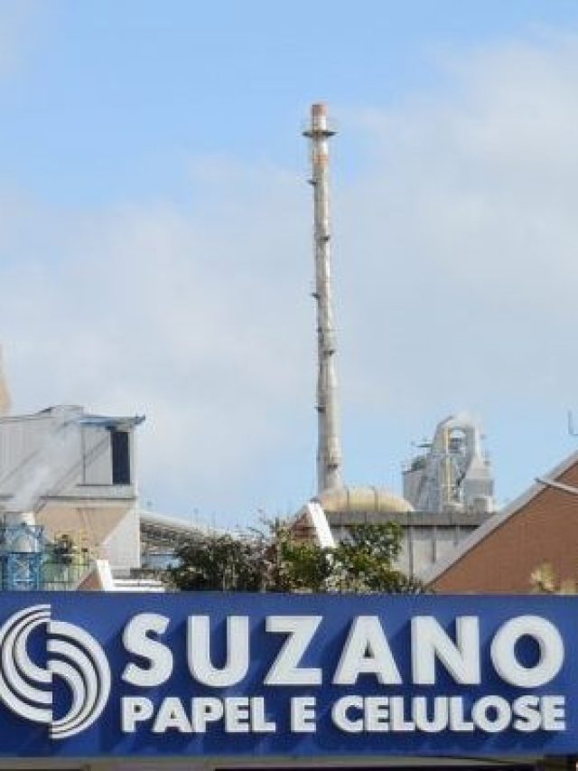 resultados da Suzano; temporada de balanços