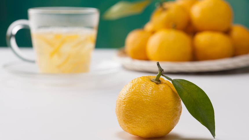 yuzu cítrico china