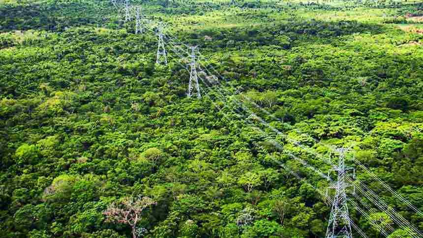 exclusivo:-distribuicao-de-energia-no-amazonas-vira-um-drama-de-r$-10-bilhoes-–-neofeed