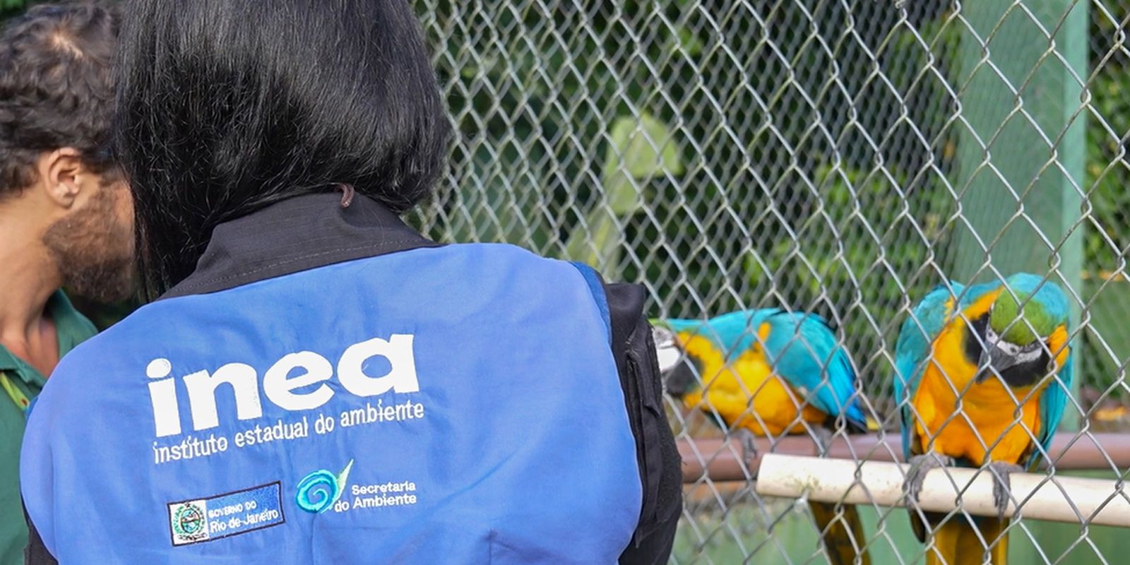 animais-silvestres-sao-resgatados-no-rio-de-janeiro
