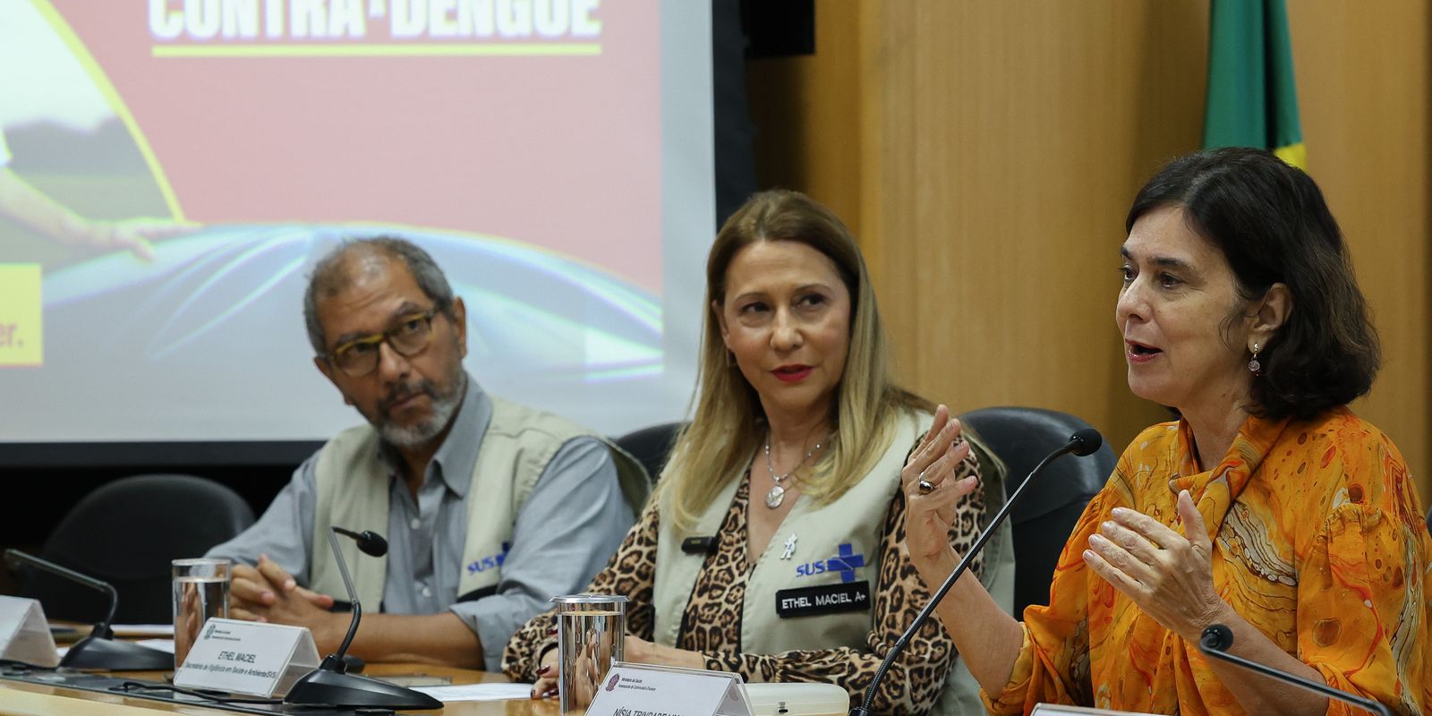 juntas,-dengue-e-gripe-podem-pressionar-sistema-de-saude,-diz-ministra