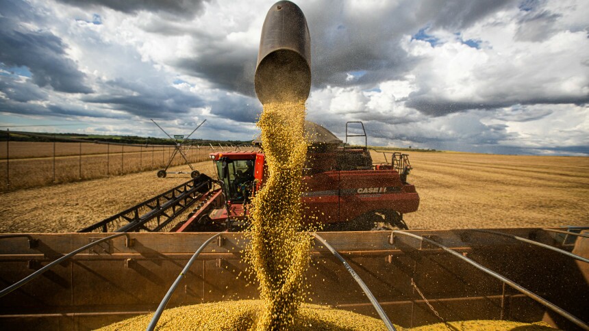 boa-safra-sementes-quer-levantar-r$-200-milhoes-em-follow-on-–-neofeed