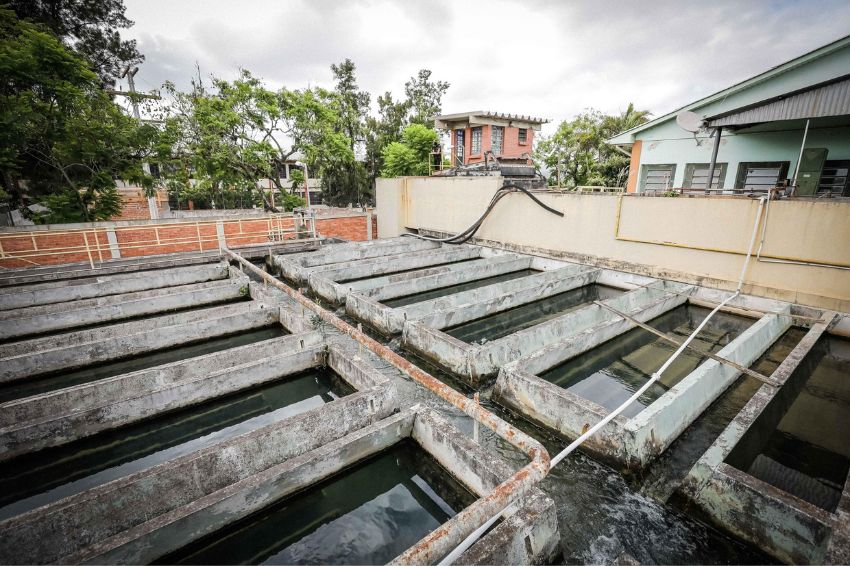 Dmae de Porto Alegre prevê economia de R$ 48 mi com energia limpa Dmae de Porto Alegre prevê economia de R$ 48 mi com energia limpa