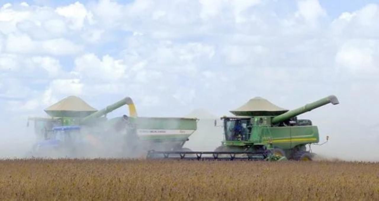 dividendos brasilagro