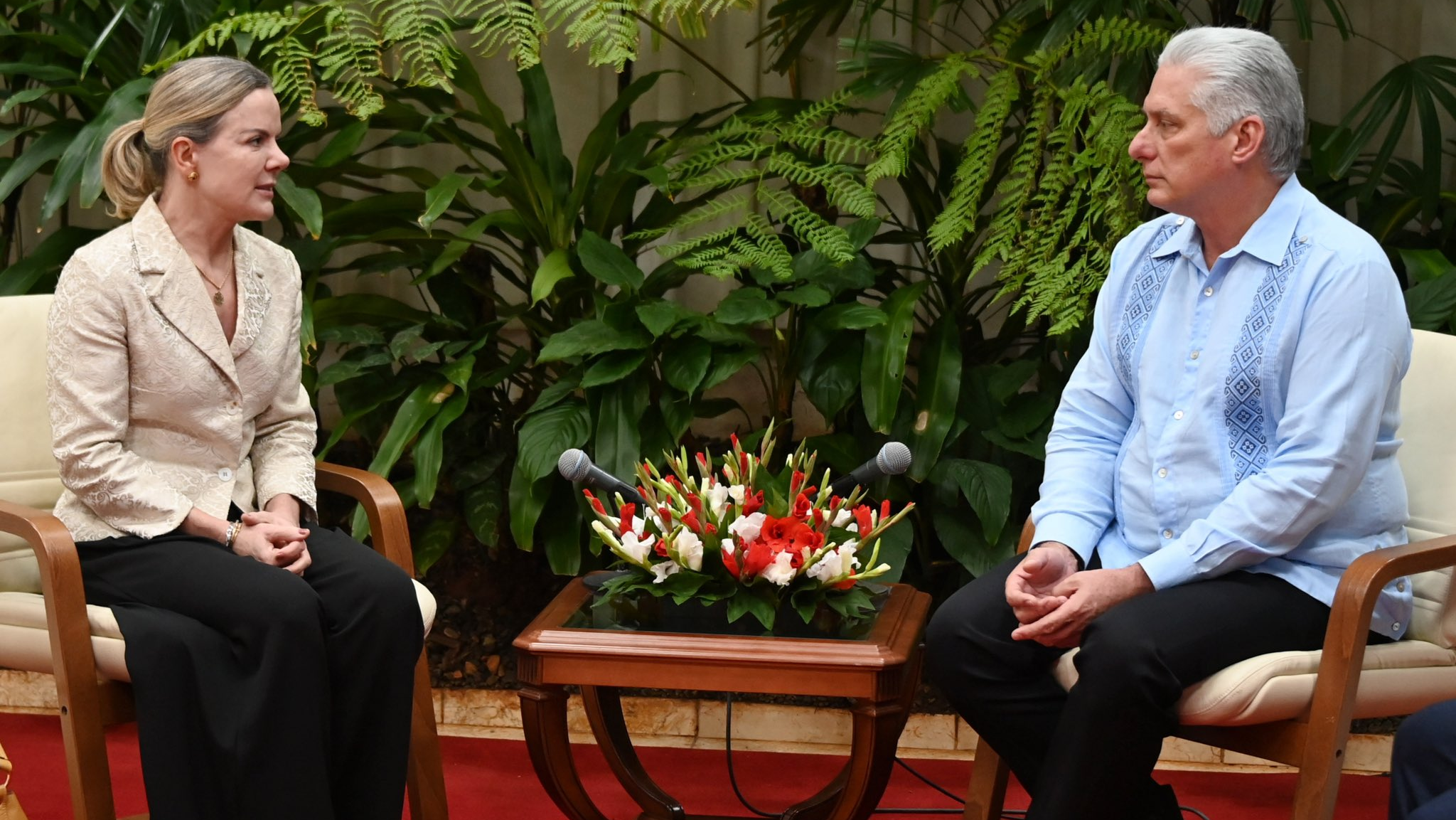 Díaz-Canel enviou saudações para o presidente Lula