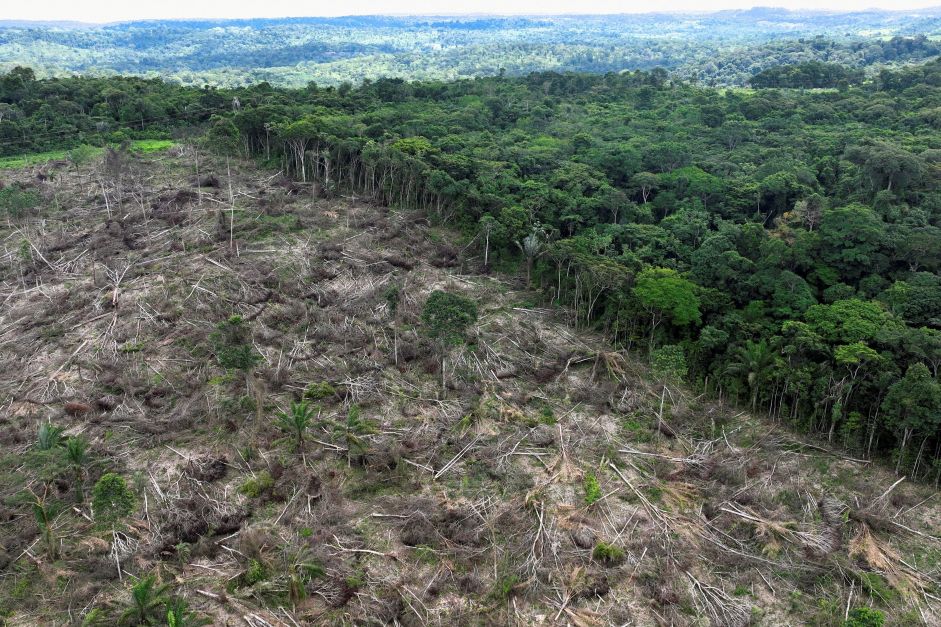 garimpo,-madeira-e-grilagem:-pesquisa-liga-crimes-ambientais-e-caminho-do-dinheiro-na-amazonia-|-cnn-brasil