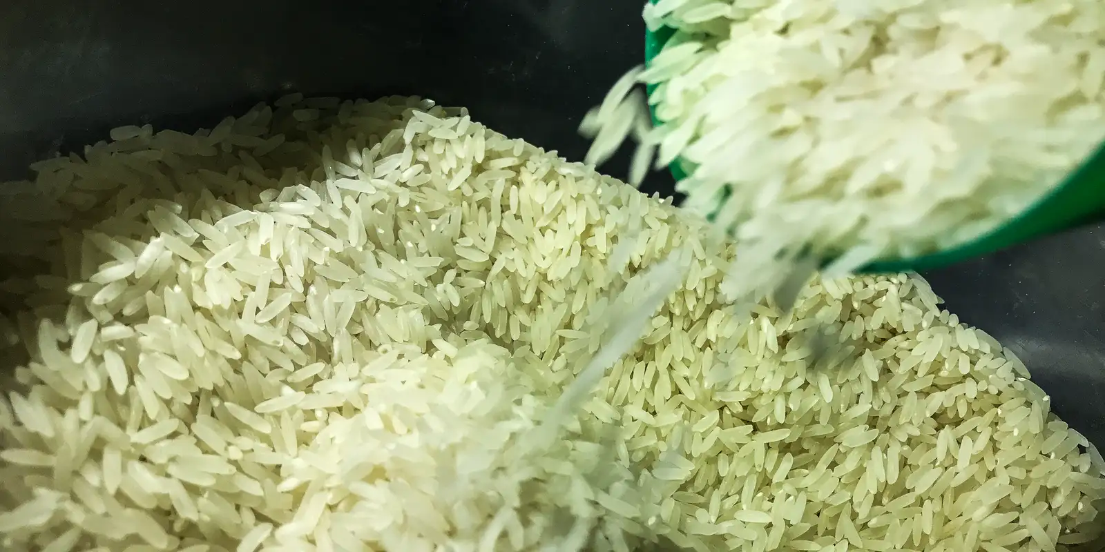 governo-autoriza-compra-de-1-milhao-de-toneladas-de-arroz