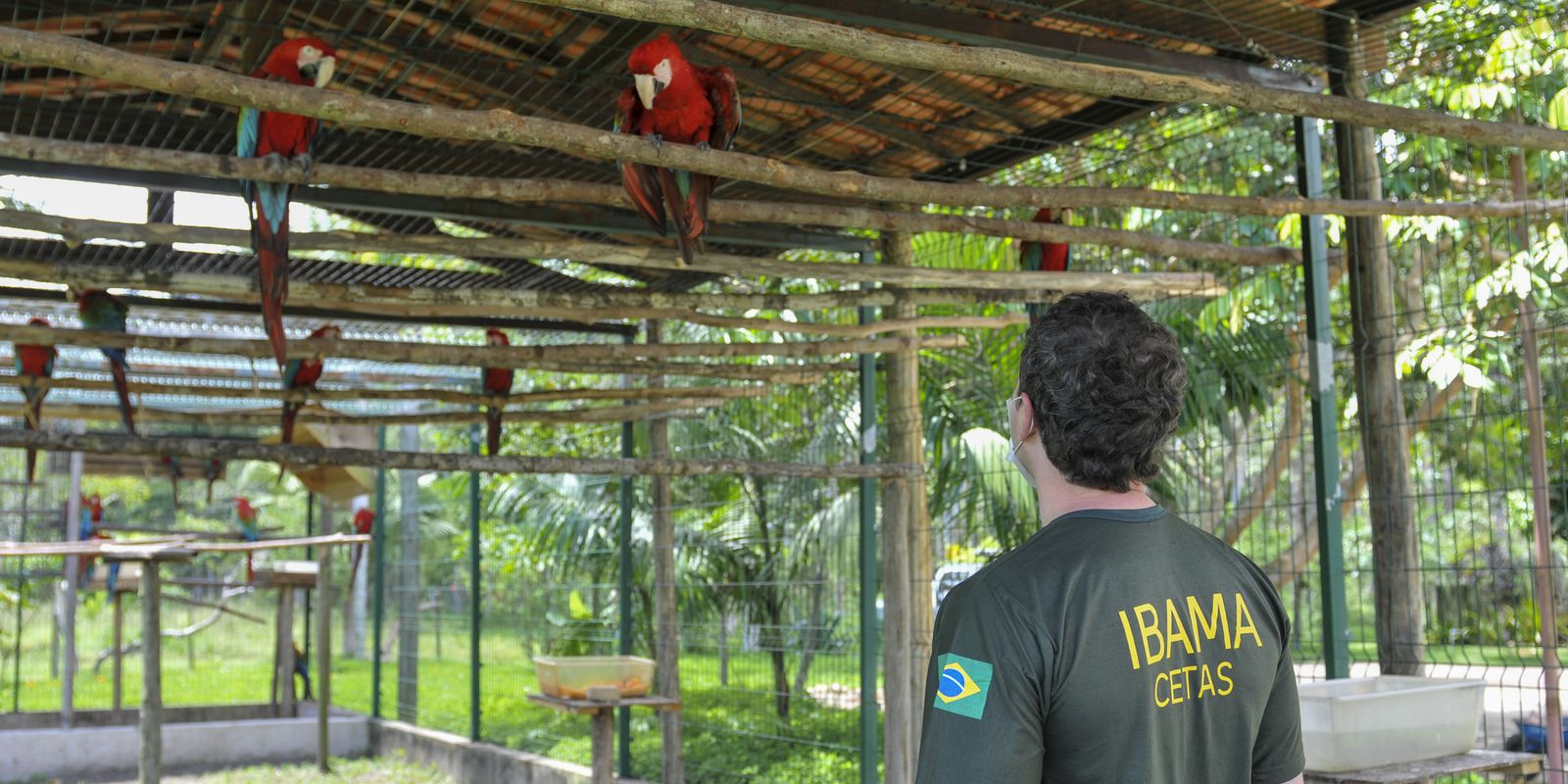 servidores-do-meio-ambiente-decidem-entrar-em-greve-no-dia-24