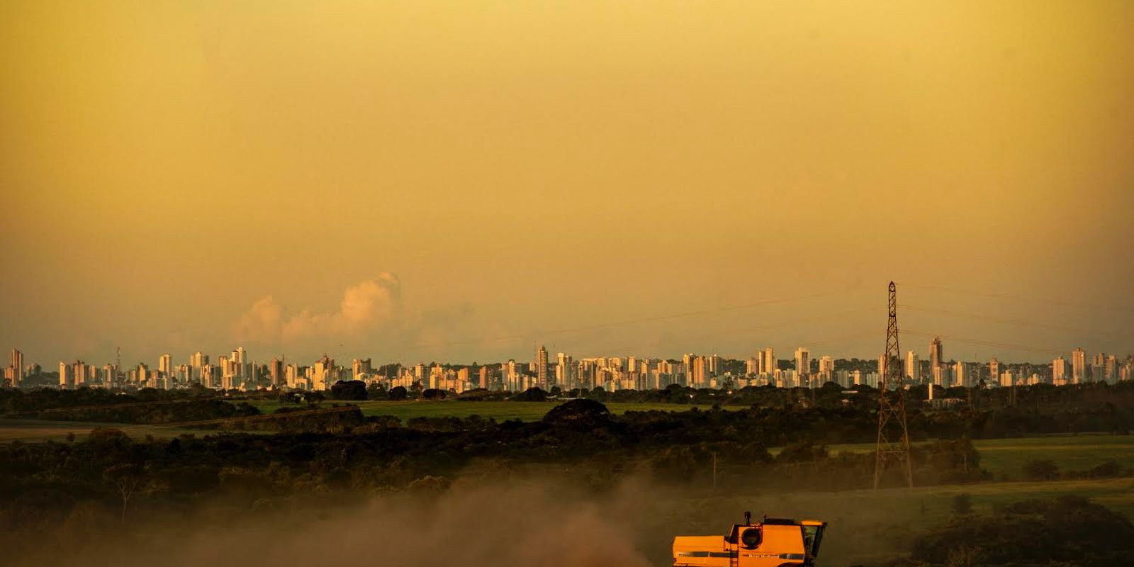 monoculturas-contribuem-com-crise-climatica,-mas-sofrem-consequencias