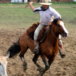 04-rodeio-vaquejada-e-laco.jpg Generic placeholder image