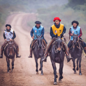 09-marcha-de-resistencia-do-cavalo-crioulo.jpg Generic placeholder image