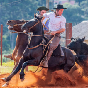 10-torneio-de-montaria-freio-de-ouro.jpg Generic placeholder image