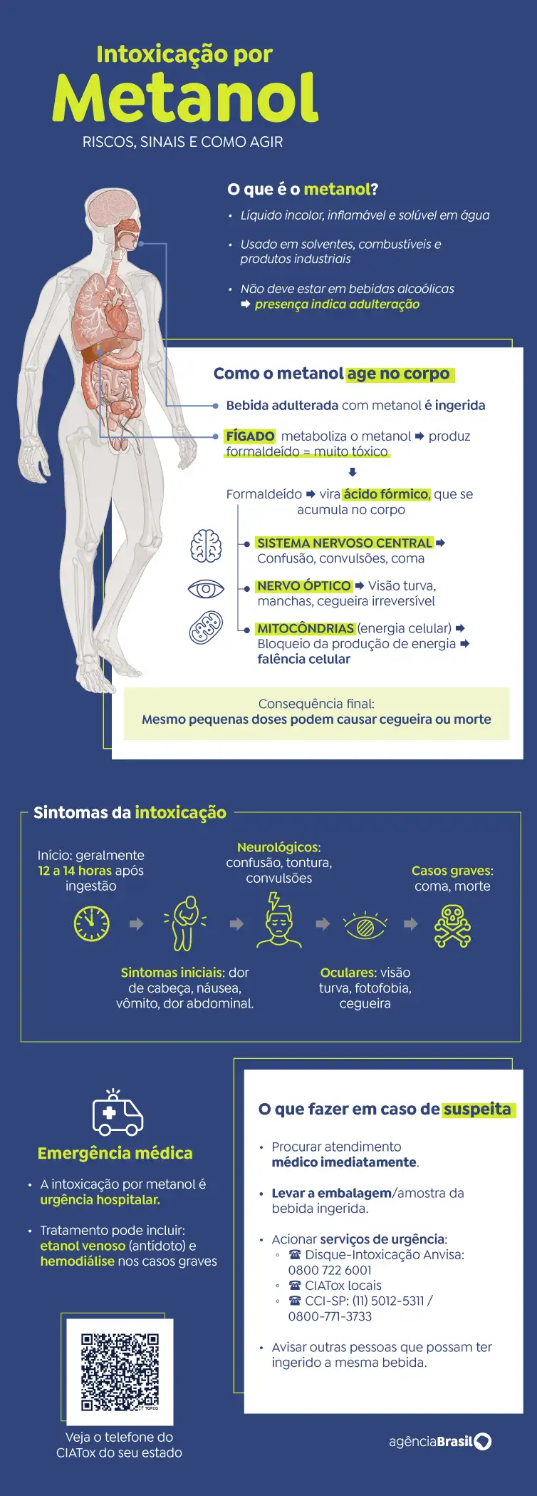 arte-metanol 