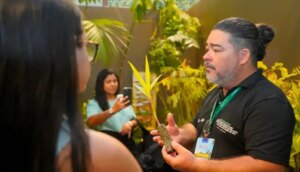 na-agrizone-da-cop30,-sebrae-recria-floresta-amazonica-e-encanta-visitantes:-“e-como-entrar-no-ciclo-da-vida”-|-asn-nacional-–-agencia-sebrae-de-noticias