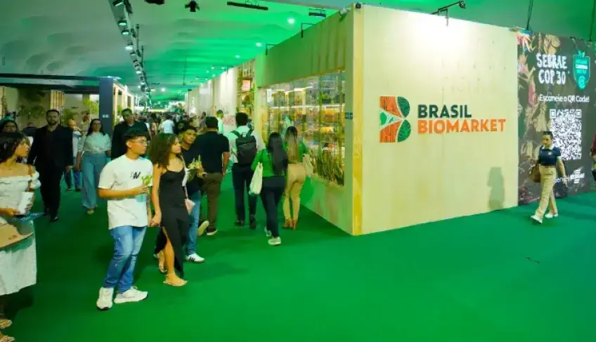 sebrae-convida-publico-a-vivenciar-a-forca-dos-pequenos-negocios-amazonicos-na-segunda-semana-da-cop30-|-asn-nacional-–-agencia-sebrae-de-noticias