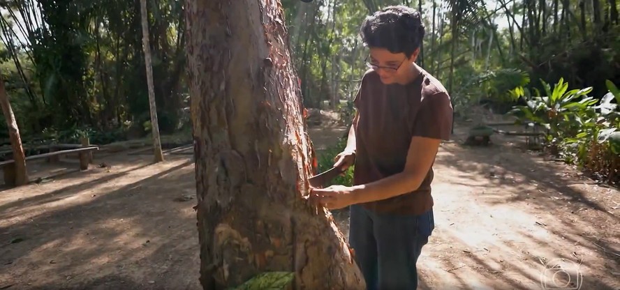 Izanelda Magalhães, empreendedora que usa frutas e cascas de árvores da Amazônia para fazer sorvetes naturais
