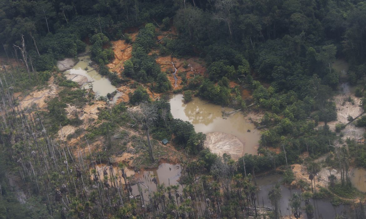 Alto Alegre (RR), 09/02/2023 - Áreas de garimpo ilegal na Terra Indígena Yanomami vistas em sobrevoo ao longo do rio Mucajaí. Foto: Fernando Frazão/Agência Brasil