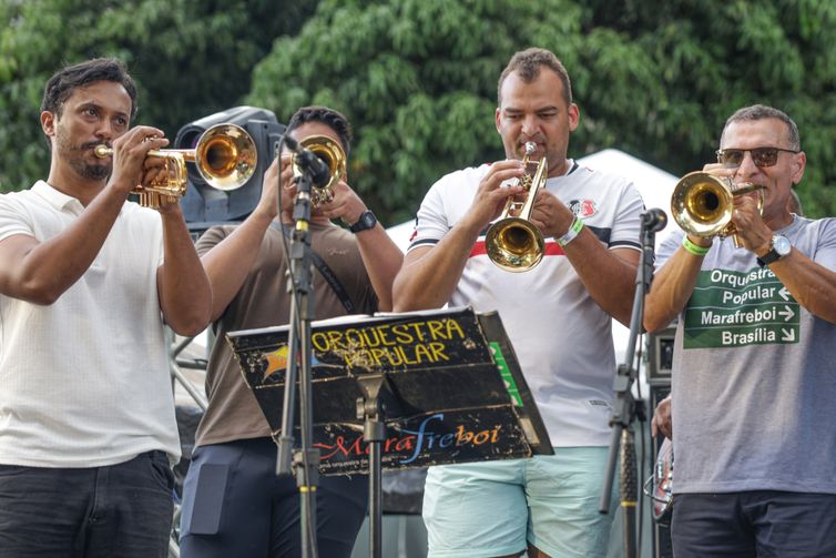 Brasília (DF), 15/02/2026 - Carnaval de rua, bloco Galinho.  Foto: Joédson Alves/Agência Brasil