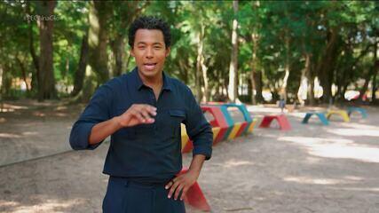 Serviços de bem-estar impulsionam o mercado pet e atraem novos empreendedores