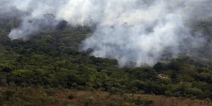 copernicus:-emissao-global-de-gases-por-incendios-e-a-menor-em-24-anos