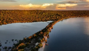 bioeconomia-transforma-floresta-em-renda-e-impulsiona-nova-economia-no-baixo-amazonas-|-asn-nacional-–-agencia-sebrae-de-noticias