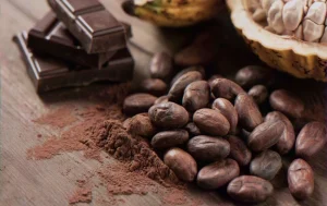 dia-mundial-do-chocolate:-consumidor-busca-mais-cacau-e-transparencia-na-hora-da-compra