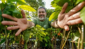 de-area-degradada-a-referencia-na-amazonia:-viveiro-deve-atingir-250-mil-mudas-em-2026-|-asn-nacional-–-agencia-sebrae-de-noticias