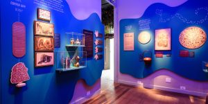 exposicao-o-tempo-das-plantas-propoe-troca-cultural-e-desaceleracao