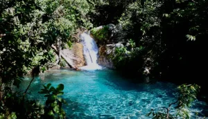 turismo-de-base-comunitaria-transforma-territorio-kalunga-e-fortalece-identidade-quilombola-|-asn-nacional-–-agencia-sebrae-de-noticias