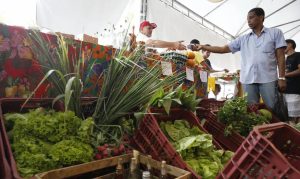 decreto-adia-exigencia-de-cnpj-para-autonomos-e-produtores-rurais