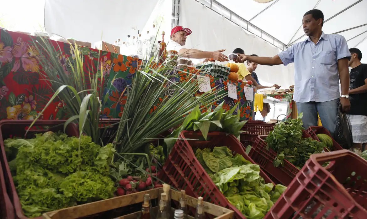 decreto-adia-exigencia-de-cnpj-para-autonomos-e-produtores-rurais
