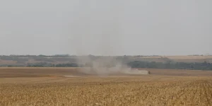 estudo-propoe-avancos-na-rastreabilidade-ambiental-da-soja-e-da-carne