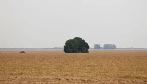 pequenos-negocios-avancam-na-agenda-sustentavel-para-uso-mais-eficiente-dos-recursos-naturais-|-asn-nacional-–-agencia-sebrae-de-noticias