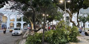 meteorologistas-dizem-que-nao-e-possivel-associar-ventanias-ao-el-nino