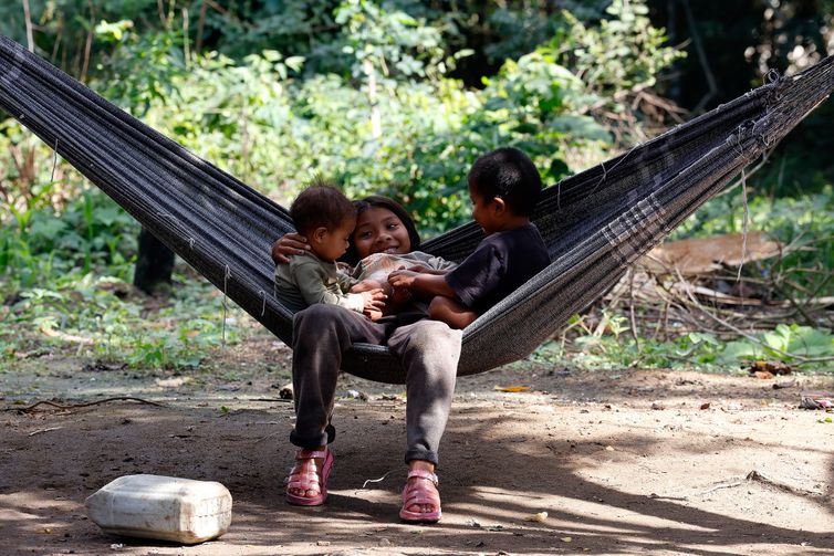 Tânia Rêgo/Agência Brasil Maricá (RJ), 30/06/2026 - Aldeia Guyra Ambar (Morada dos Pássaros), comunidade indígena formada por famílias do povo Mbya Guarani, localizada ao lado da Foto: Tânia Rêgo/Agência Brasil