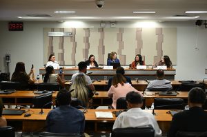 cdh:-violencia-e-falta-de-estrutura-ameacam-atendimento-a-saude-indigena