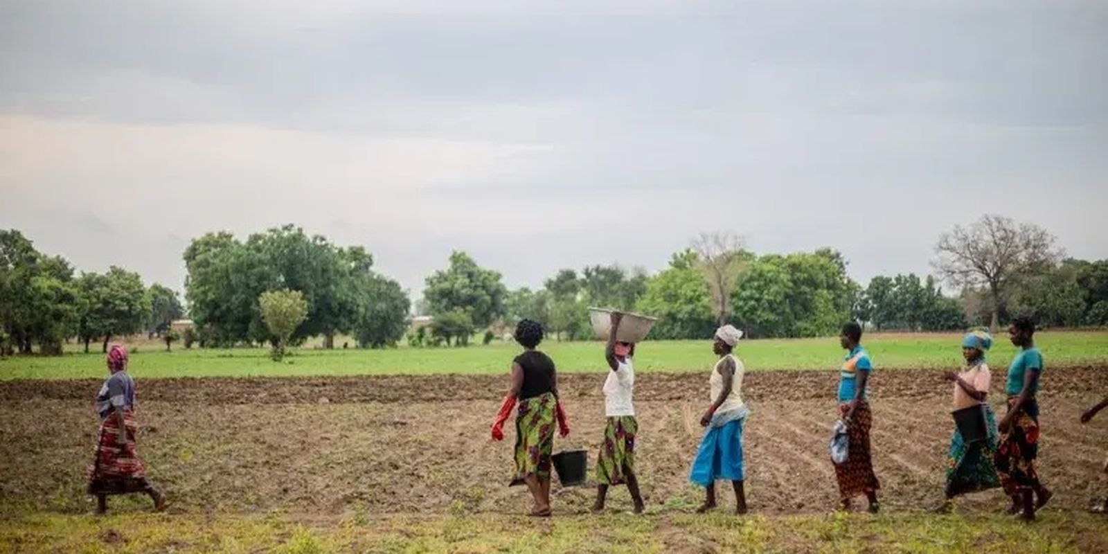 grande-muralha-verde-restaura-1,66-milhao-de-hectares-na-africa