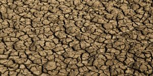 desertificacao-no-brasil-ameaca-seguranca-hidrica-e-alimentar
