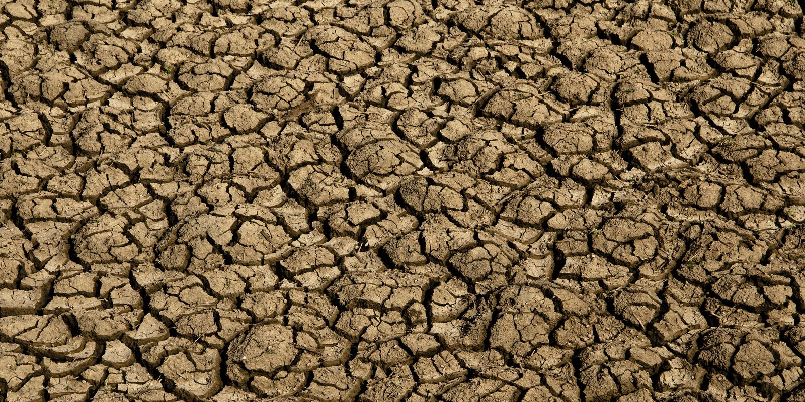 desertificacao-no-brasil-ameaca-seguranca-hidrica-e-alimentar